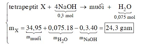 Khi thủy phân hoàn toàn một tetrapeptit X mạch hở chỉ thu được amino axit chứa 1 nhóm NH2 và 1 nhóm COOH