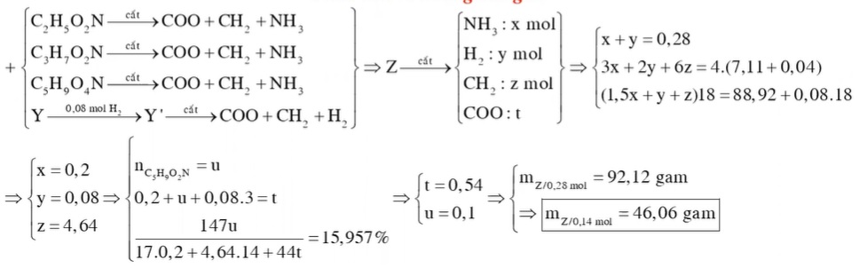 Hỗn hợp X gồm glyxin, alanin và axit glutamic. Hỗn hợp Y gồm ba chất béo. Đốt cháy hoàn toàn