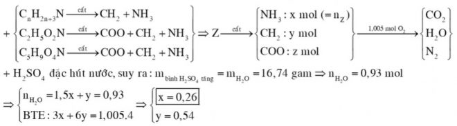 Hỗn hợp X gồm metylamin và trimetylamin. Hỗn hợp Y gồm glyxin và axit glutamic. Đốt cháy hết a mol