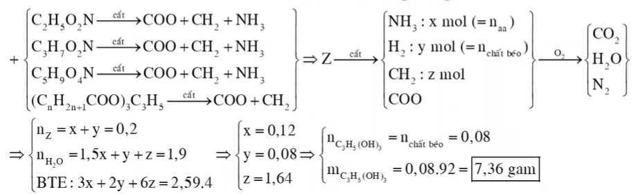 Hỗn hợp X gồm glyxin, alanin và axit glutamic. Hỗn hợp Y gồm tristearin và tripanmitin