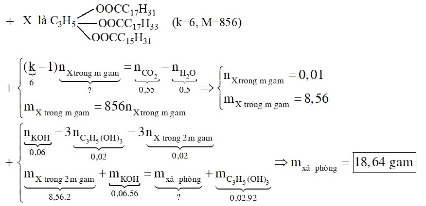 Đốt cháy hoàn toàn m gam hỗn hợp X chứa hỗn hợp các triglixerit tạo bởi từ cả 3 axit panmitic, oleic, linoleic thu được