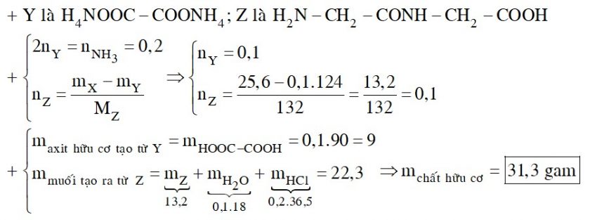 Hỗn hợp X gồm chất Y (C2H8N2O4) và chất Z (C4H8N2O3); trong đó, Y là muối của axit đa chức