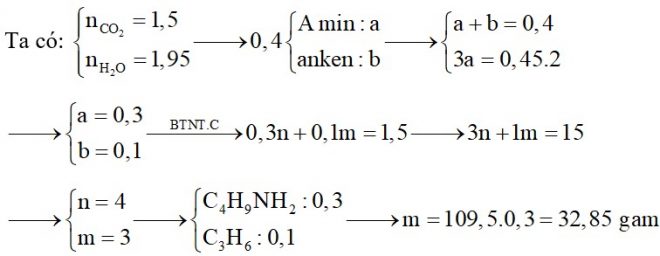 Hỗn hợp X chứa một amin no đơn chức, mạch hở và một anken. Đốt cháy hoàn toàn 0,4 mol hỗn hợp X, sản phẩm cháy thu được có 33,6 lít CO2