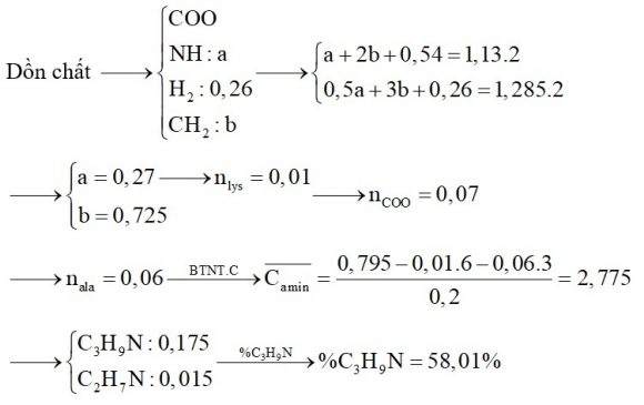 Hỗn hợp X chứa hai amin kế tiếp thuộc dãy đồng đẳng của metylamin. Hỗn hợp Y chứa alanin và lysin. Đốt cháy hoàn toàn 0,26 mol hỗn hợp Z