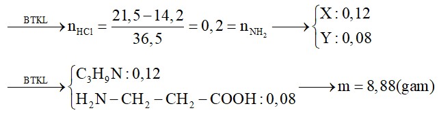 Hỗn hợp E gồm amin X có công thức dạng CnH2n+3N và aminoaxit Y có công thức dạng CnH2n+1O2N (trong đó số mol X gấp 1,5 lần số mol Y)