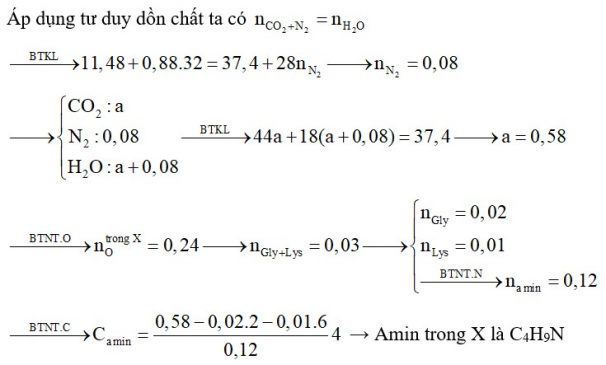 Hỗn hợp X gồm Gly, Lys (tỷ lệ mol 2:1) và một amin đơn chức, hở, có một liên kết đôi C=C trong phân tử. Đốt cháy hoàn toàn 11,48 gam X cần vừa đủ