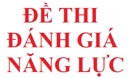 Đề thi đánh giá năng lực ĐHQG TP Hồ Chí Minh