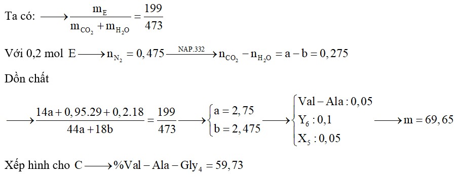 Hỗn hợp E gồm pentapeptit X, hexapeptit Y, Val-Ala (trong X, Y đều chứa cả Ala, Gly, Val và số mol Val-Ala bằng ¼ số mol hỗn hợp E)