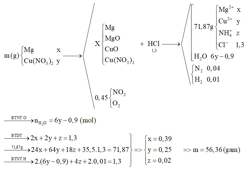 Nung m gam hỗn hợp gồm Mg và Cu(NO3)2 trong điều kiện không có không khí, sau một thời gian thu được chất rắn X và 10,08 lít (đktc) hỗn hợp khí