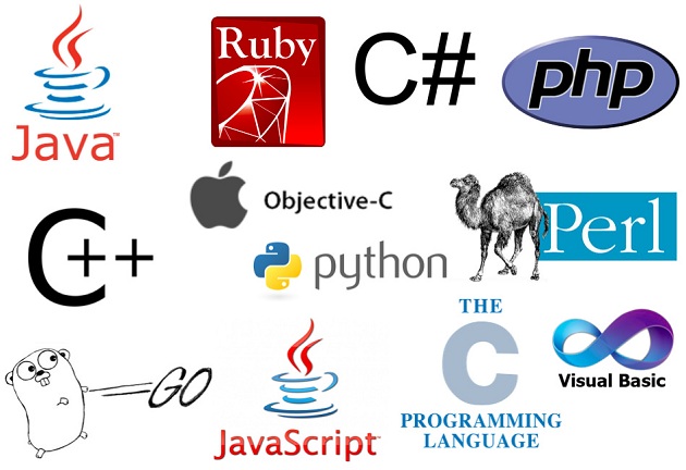 Ngành CNTT học ngôn ngữ lập trình nào?