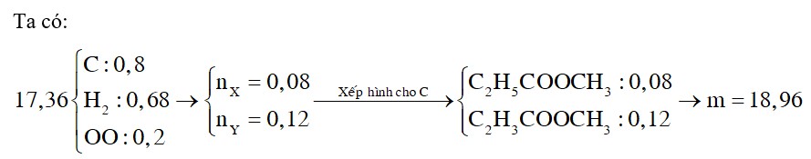 X là este no, đơn chức; Y là este đơn chức, không no chứa một liên kết đôi C=C (X, Y đều mạch hở và cùng số nguyên tử C)