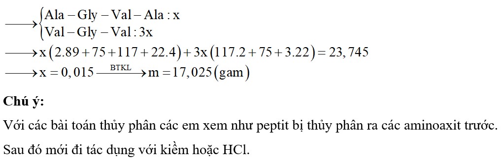 X là tetrapeptit Ala-Gly-Val-Ala, Y là tripeptit Val-Gly-Val. Đun nóng m (gam) hỗn hợp chứa X và Y