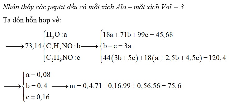 Hỗn hợp X gồm Ala4Val, Ala5Val2 và Ala6Val3. Đốt 45,68 gam hỗn hợp X cần vừa đủ