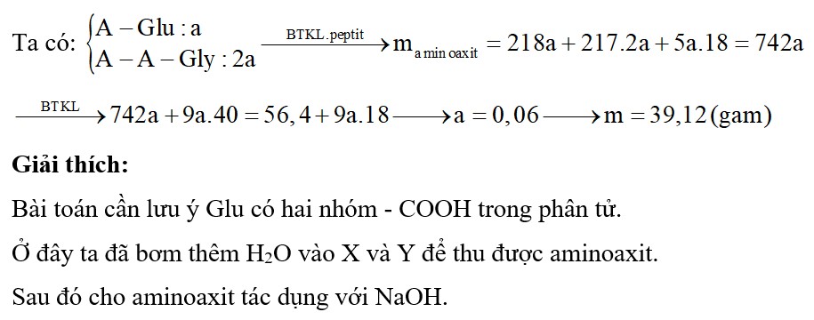 X là đipeptit Ala-Glu, Y là tripeptit Ala-Ala-Gly. Đun nóng m (gam) hỗn hợp chứa X và Y có tỉ lệ số mol