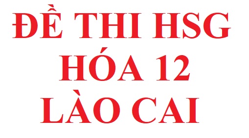 Đề thi hsg lớp 12 môn hóa tỉnh Lào Cai