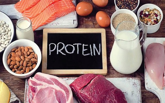 Tại sao chúng ta cần ăn protein từ các nguồn thực phẩm khác nhau?