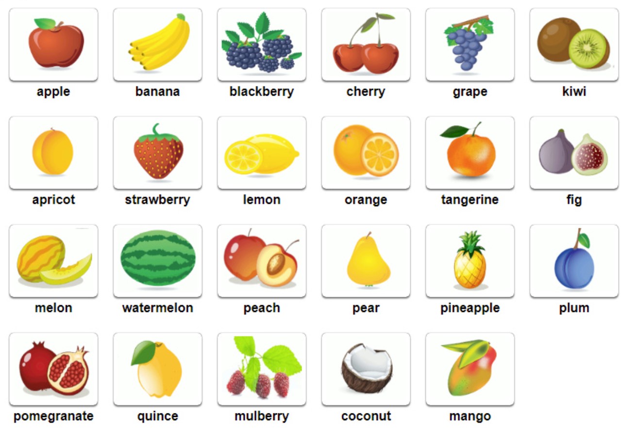 Từ vựng tiếng Anh về trái cây