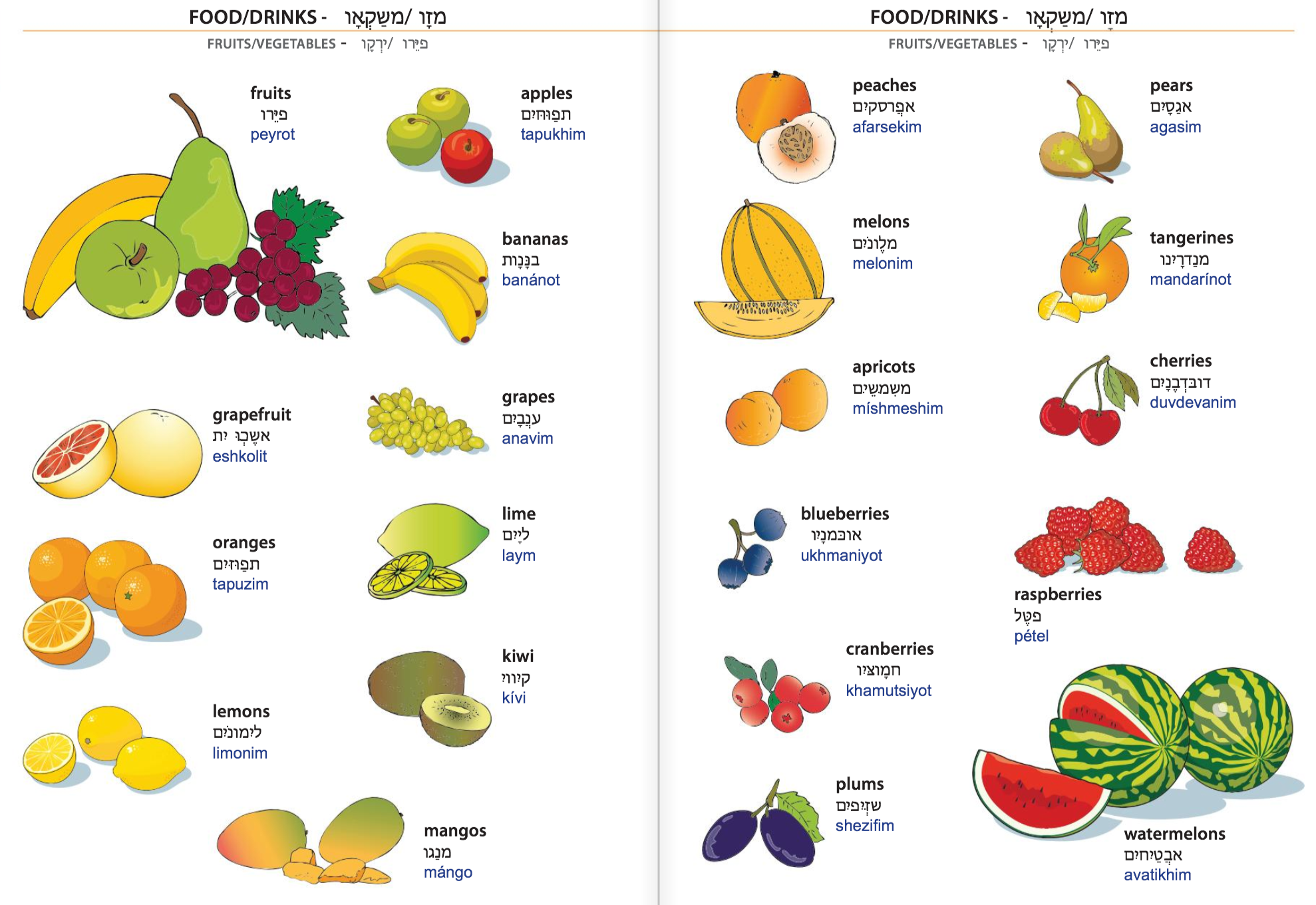 Basic Hebrew Phrases