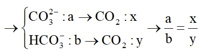 Bài toán nhỏ từ từ H+ vào dung dịch HCO3- và CO32- có lời giải chi tiết
