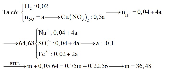 Cho m gam bột Fe vào dung dịch chứa Cu(NO3)2 và NaHSO4, kết thúc phản ứng, thấy thoát ra hỗn hợp khí