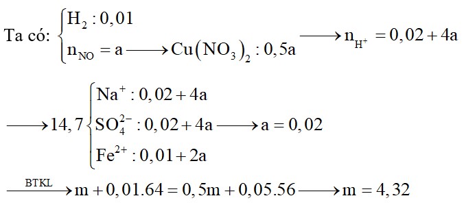 Cho m gam bột Fe vào dung dịch chứa Cu(NO3)2 và NaHSO4, kết thúc phản ứng, thấy thoát ra hỗn hợp khí 