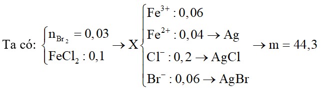 Cho 4,8 (g) Br2 nguyên chất vào dung dịch chứa 12,7 (g) FeCl2 thu được dung dịch X