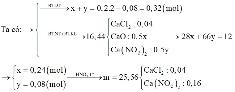Dung dịch X chứa 0,2 mol Ca2+; 0,08 mol Cl-; x mol HCO3- và y mol NO3-. Đem cô cạn dung dịch X