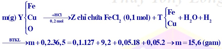 Đốt hỗn hợp X gồm Fe và Cu trong O2, thu được m gam hỗn hợp Y gồm Fe, Cu, Fe3O4 và CuO 2