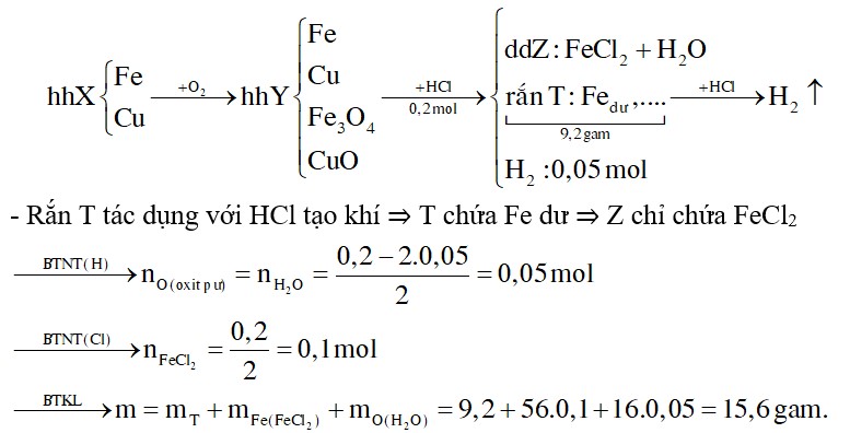 Đốt hỗn hợp X gồm Fe và Cu trong O2, thu được m gam hỗn hợp Y gồm Fe, Cu, Fe3O4 và CuO. Cho Y vào dung dịch chứa