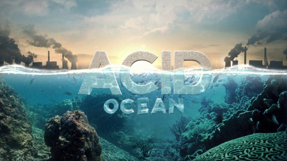 Axit hóa đại dương là gì?