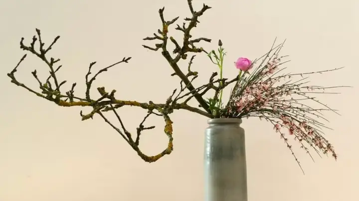 Ikebana là gì? Nghệ thuật cắm hoa của người Nhật Bản!