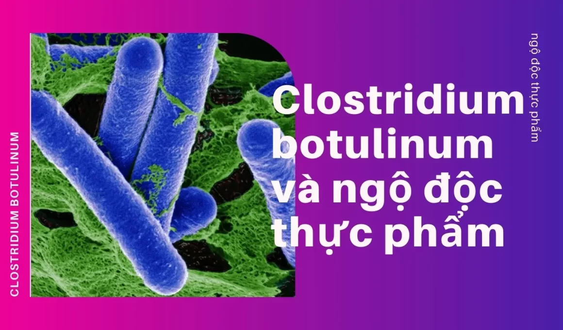 Ngộ độc Clostridium Botulinum là gì?