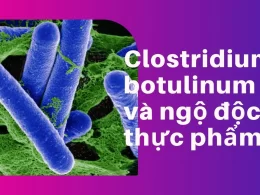 Ngộ độc Clostridium Botulinum là gì?